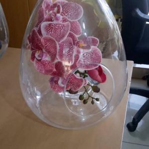 Orchid Flower with Vase